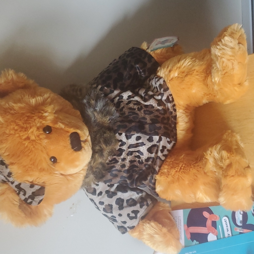 Brand new collectible bear
